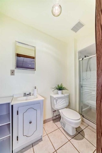 41 Alder Crescent Se, Airdrie, AB - Indoor Photo Showing Bathroom