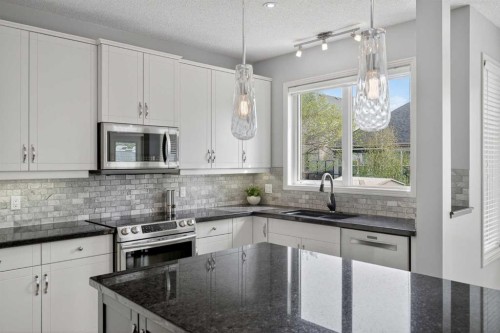 125 Cranleigh Park Se, Calgary, AB - Indoor Photo Showing Kitchen With Double Sink With Upgraded Kitchen