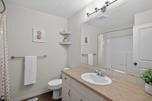125 Cranleigh Park Se, Calgary, AB - Indoor Photo Showing Bathroom