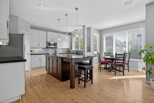 125 Cranleigh Park Se, Calgary, AB - Indoor Photo Showing Kitchen With Upgraded Kitchen