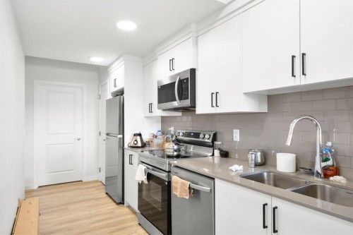 264 Mallard Grove Se, Calgary, AB - Indoor Photo Showing Kitchen With Double Sink With Upgraded Kitchen
