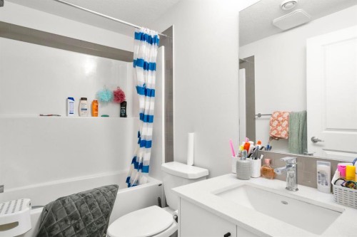 264 Mallard Grove Se, Calgary, AB - Indoor Photo Showing Bathroom