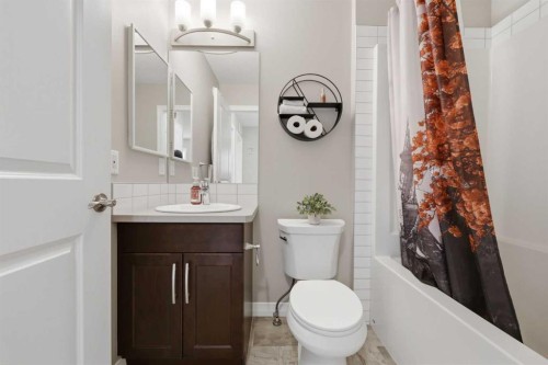 58 Kingfisher Crescent Se, Airdrie, AB - Indoor Photo Showing Bathroom