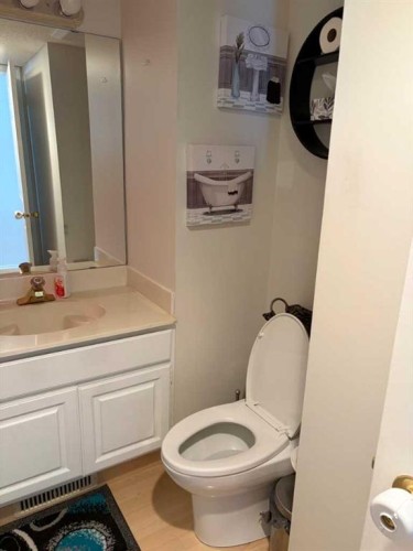 1065 East Chestermere Drive, Chestermere, AB - Indoor Photo Showing Bathroom