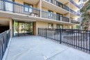 204-1033 15 Avenue Sw, Calgary, AB 