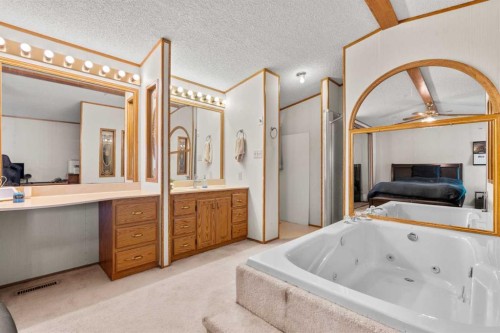 254 Erin Woods Circle Se, Calgary, AB - Indoor Photo Showing Bathroom