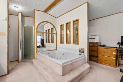 254 Erin Woods Circle Se, Calgary, AB - Indoor Photo Showing Bathroom
