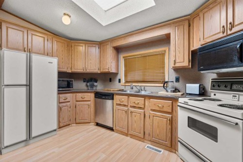 254 Erin Woods Circle Se, Calgary, AB - Indoor Photo Showing Kitchen With Double Sink