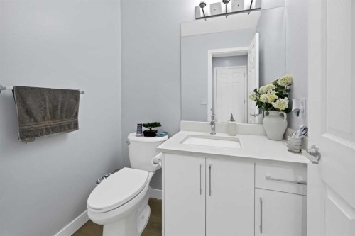 218 Saddlefield Place Ne, Calgary, AB - Indoor Photo Showing Bathroom