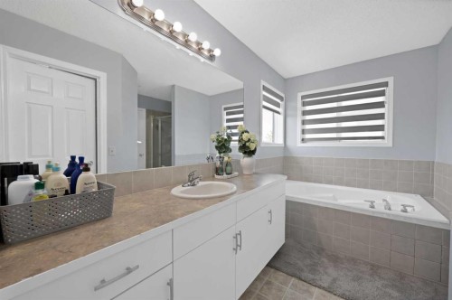 218 Saddlefield Place Ne, Calgary, AB - Indoor Photo Showing Bathroom