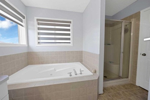 218 Saddlefield Place Ne, Calgary, AB - Indoor Photo Showing Bathroom