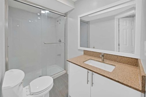 218 Saddlefield Place Ne, Calgary, AB - Indoor Photo Showing Bathroom