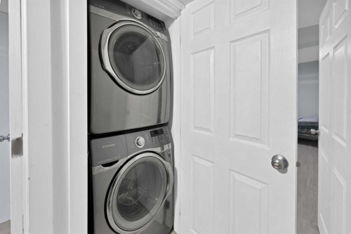 218 Saddlefield Place Ne, Calgary, AB - Indoor Photo Showing Laundry Room