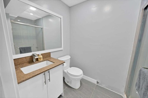 218 Saddlefield Place Ne, Calgary, AB - Indoor Photo Showing Bathroom
