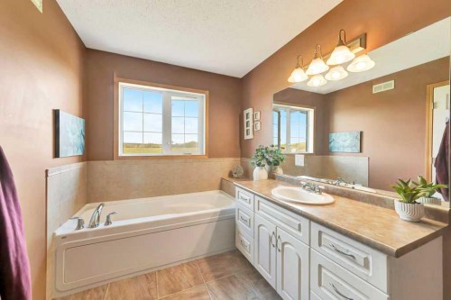 480054 Range Road 30 Range, Paradise Valley, AB - Indoor Photo Showing Bathroom
