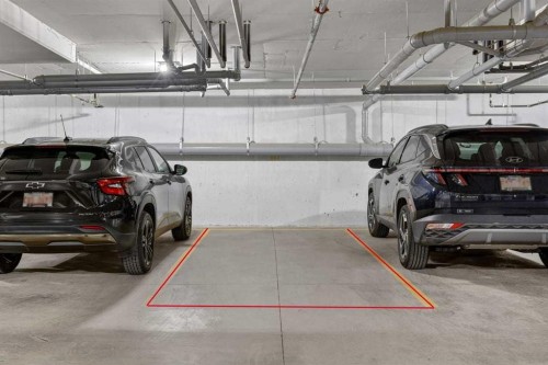 4104-20295 Seton Way Se, Calgary, AB - Indoor Photo Showing Garage