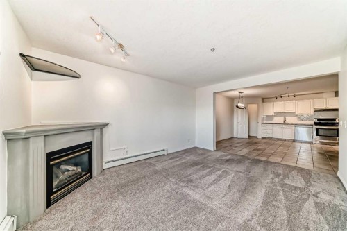 317-649 Marsh Road Ne, Calgary, AB - Indoor With Fireplace
