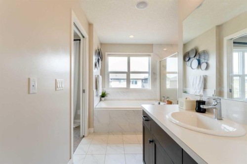 42 Buckskin Way, Cochrane, AB - Indoor Photo Showing Bathroom