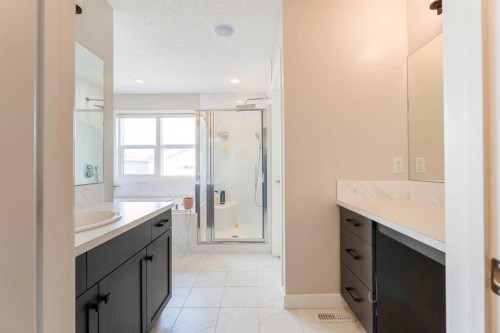 42 Buckskin Way, Cochrane, AB - Indoor Photo Showing Bathroom