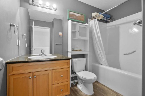 302 Sunrise Terrace Ne, High River, AB - Indoor Photo Showing Bathroom
