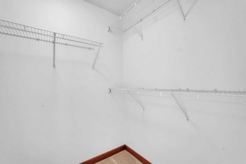 141 Cramond Close Se, Calgary, AB - Indoor With Storage
