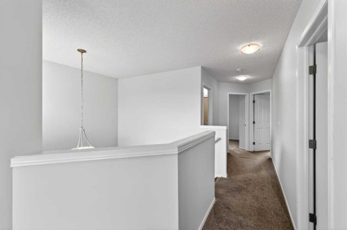 53 Royal Birch Way Nw, Calgary, AB - Indoor Photo Showing Other Room