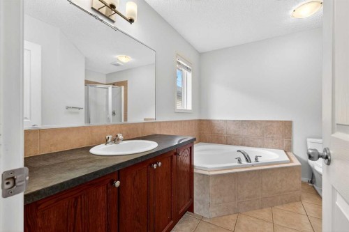 53 Royal Birch Way Nw, Calgary, AB - Indoor Photo Showing Bathroom
