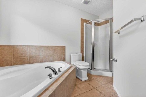 53 Royal Birch Way Nw, Calgary, AB - Indoor Photo Showing Bathroom