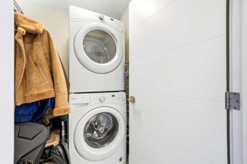 618-122 Mahogany Centre Se, Calgary, AB - Indoor Photo Showing Laundry Room