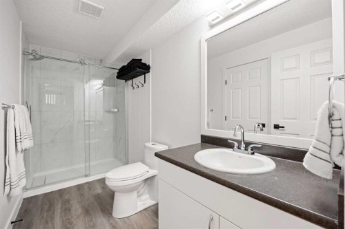 116 Cove Road, Chestermere, AB - Indoor Photo Showing Bathroom