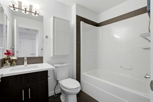 314 Auburn Crest Way Se, Calgary, AB - Indoor Photo Showing Bathroom