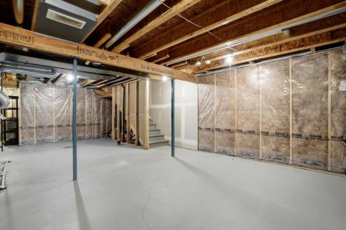 314 Auburn Crest Way Se, Calgary, AB - Indoor Photo Showing Basement