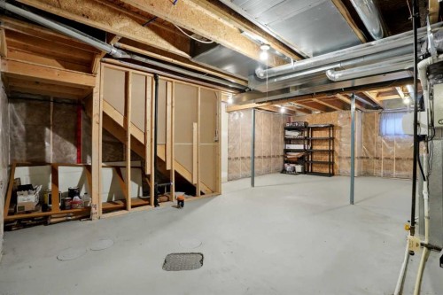 314 Auburn Crest Way Se, Calgary, AB - Indoor Photo Showing Basement