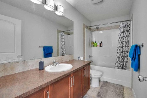 449 Skyview Ranch Way Ne, Calgary, AB - Indoor Photo Showing Bathroom