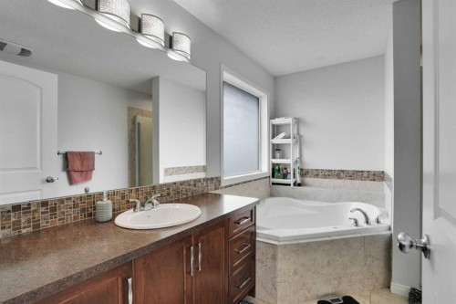 449 Skyview Ranch Way Ne, Calgary, AB - Indoor Photo Showing Bathroom