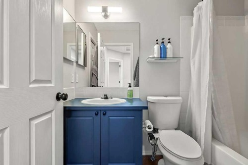 145 Harvest Glen Way Ne, Calgary, AB - Indoor Photo Showing Bathroom