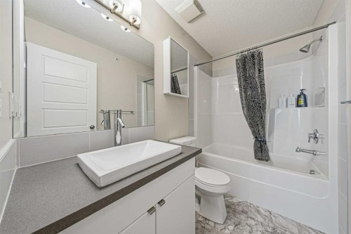 404-207 Sunset Drive, Cochrane, AB - Indoor Photo Showing Bathroom