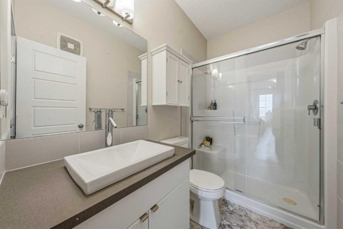 404-207 Sunset Drive, Cochrane, AB - Indoor Photo Showing Bathroom