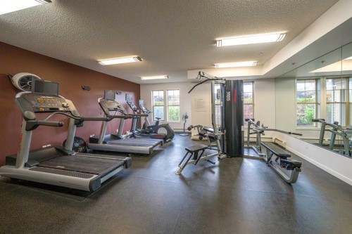 404-207 Sunset Drive, Cochrane, AB - Indoor Photo Showing Gym Room