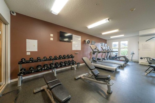 404-207 Sunset Drive, Cochrane, AB - Indoor Photo Showing Gym Room