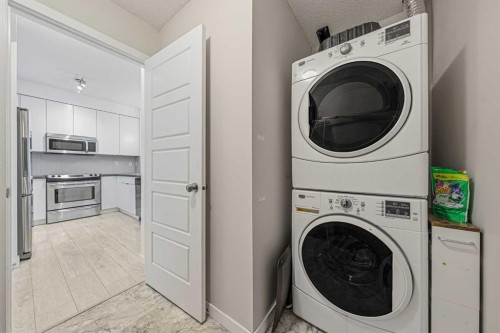 404-207 Sunset Drive, Cochrane, AB - Indoor Photo Showing Laundry Room