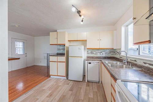 14 Martindale Mews Ne, Calgary, AB - Indoor Photo Showing Kitchen With Double Sink