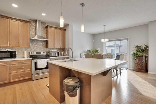 148 Savanna Close Ne, Calgary, AB - Indoor Photo Showing Kitchen With Stainless Steel Kitchen With Upgraded Kitchen