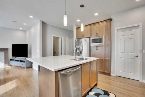 148 Savanna Close Ne, Calgary, AB - Indoor Photo Showing Kitchen With Double Sink With Upgraded Kitchen