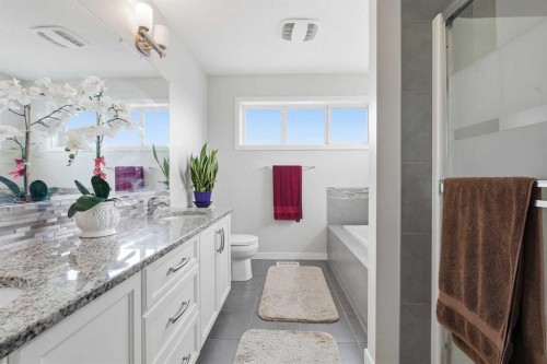 4 Panton Road Nw, Calgary, AB - Indoor Photo Showing Bathroom