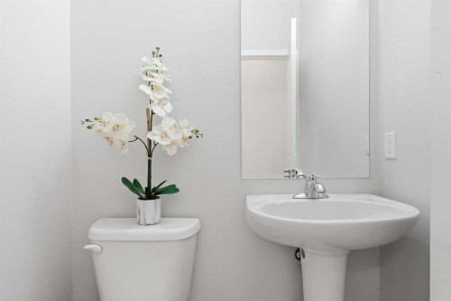 4 Panton Road Nw, Calgary, AB - Indoor Photo Showing Bathroom