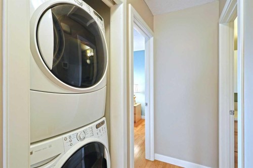 175 Brabourne Road Sw, Calgary, AB - Indoor Photo Showing Laundry Room