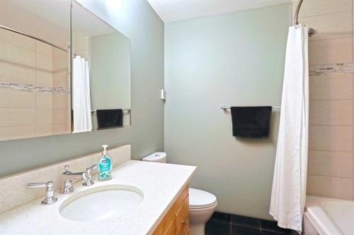 175 Brabourne Road Sw, Calgary, AB - Indoor Photo Showing Bathroom