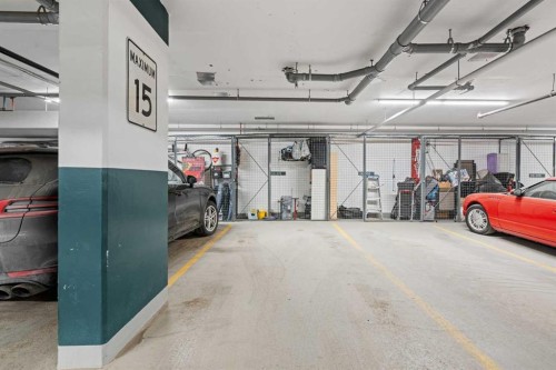 401-24 Mahogany Path Se, Calgary, AB - Indoor Photo Showing Garage