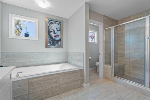 19 Masters Mews Se, Calgary, AB - Indoor Photo Showing Bathroom